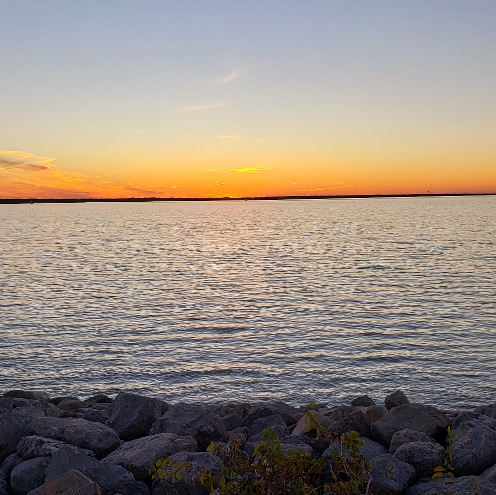 Meet your Posher, Jessie